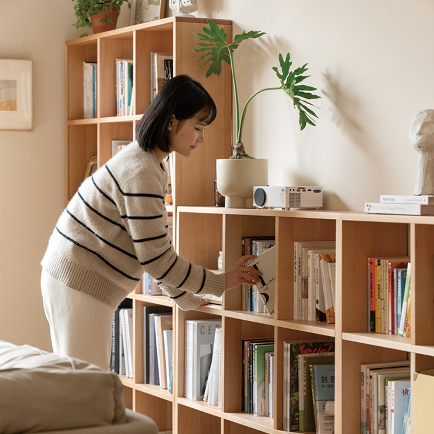 Lowell Bookshelf